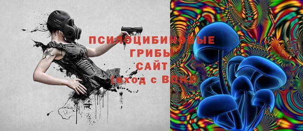 меф Заволжск