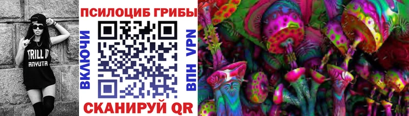 Купить где  Иланский  Галлюциногенные грибы прущие грибы 